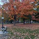 Fall Colours:  Fall colours are truly a remarkable sight! The vibrant hues of Orange, red, yellow, and brown are inspired by the changing leaves as temperatures drop and daylight shortens.