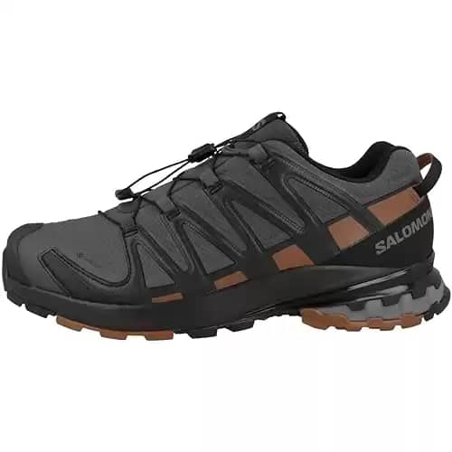 Salomon Men's XA PRO 3D v8 GTX Trail Running Shoes, Ebony/Caramel Cafe/Black, 11
